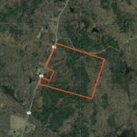 114 acres Hunting Land in Tug Hill Region images 4