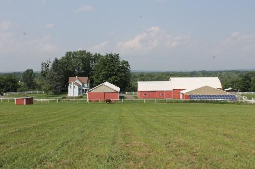 35 acres Equestrian Estate and Restored House featured image