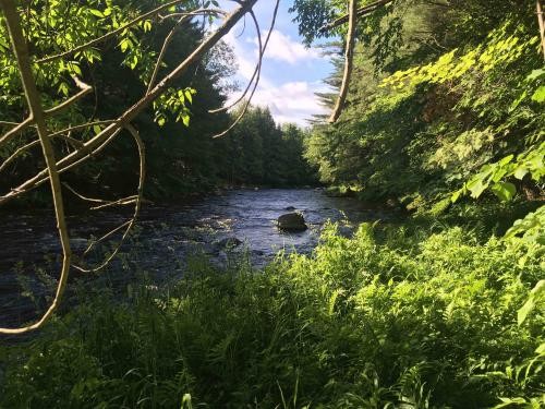 8 acres Waterfront Land on Deer River featured image