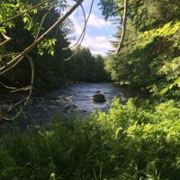8 acres Waterfront Land on Deer River