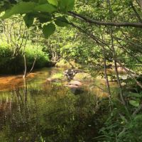 8 acres Waterfront Land on Deer River images 2