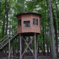 Whitetail Trophy Hunting on Beautiful Private Lands in Southern Michigan