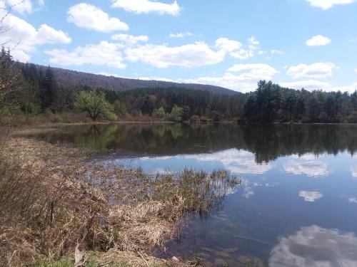 155 acres Prime Hunting and Fishing Land featured image
