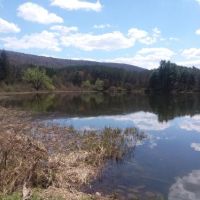 155 acres Prime Hunting and Fishing Land