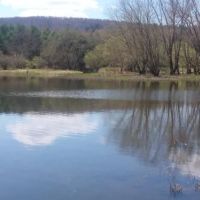 155 acres Prime Hunting and Fishing Land images 2