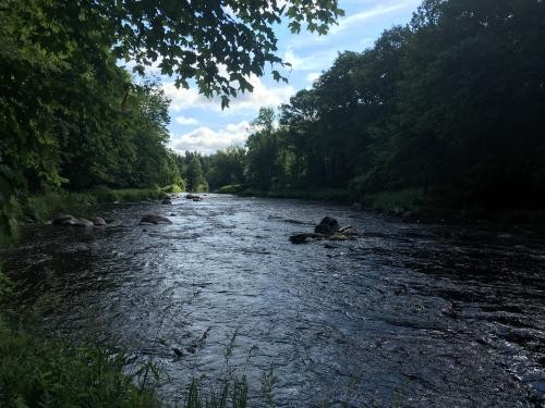 5 acre Camp Lot on Deer River featured image