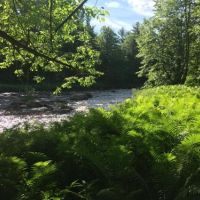 5 acre Camp Lot on Deer River images 2