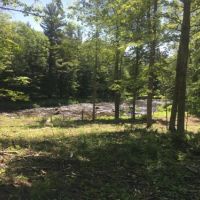 5 acre Camp Lot on Deer River images 3