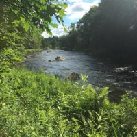5 acre Camp Lot on Deer River images 6