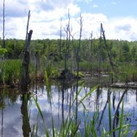 336 acres Hunting Land Dannemora NY