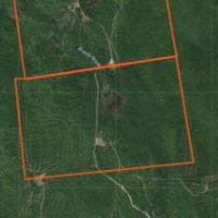 336 acres Hunting Land Dannemora NY images 5