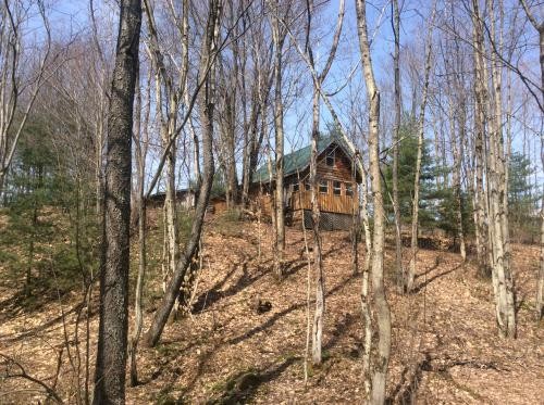 5.4 acre Off-Grid Waterfront Cabin Amboy NY featured image