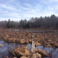 5.4 acre Off-Grid Waterfront Cabin Amboy NY images 3