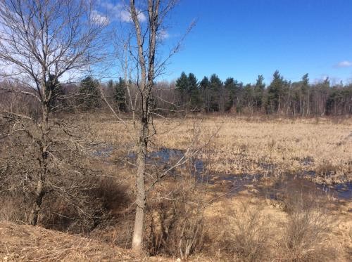 99 acres Hunting and ATV Land Croghan NY featured image
