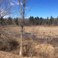 99 acres Hunting and ATV Land Croghan NY
