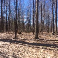 99 acres Hunting and ATV Land Croghan NY images 2