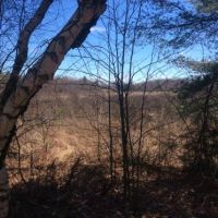 99 acres Hunting and ATV Land Croghan NY images 3