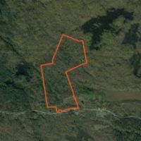 99 acres Hunting and ATV Land Croghan NY images 5