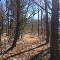 99 acres Hunting and ATV Land Croghan NY images 6
