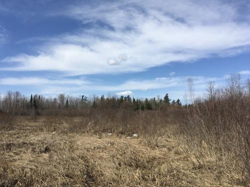 50 acres Hunting Land near State Land featured image