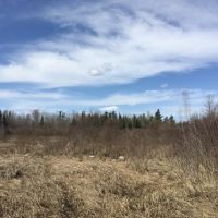 50 acres Hunting Land near State Land