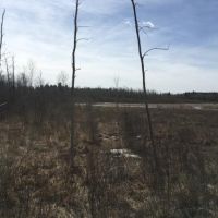 50 acres Hunting Land near State Land images 2