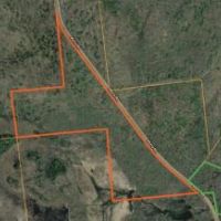 50 acres Hunting Land near State Land images 5