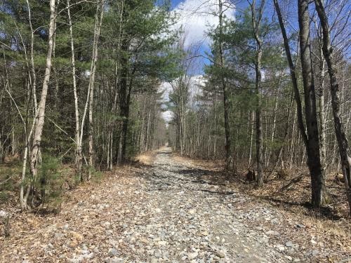51 acres Hunting Land Bordering State Forest featured image
