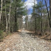 51 acres Hunting Land Bordering State Forest