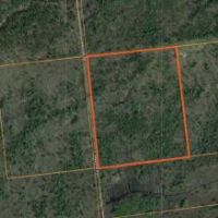 51 acres Hunting Land Bordering State Forest images 5