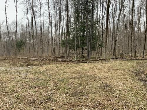 6.7 acres Bordering State Land Annsville NY featured image