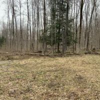 6.7 acres Bordering State Land Annsville NY