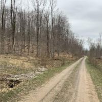 6.7 acres Bordering State Land Annsville NY images 2