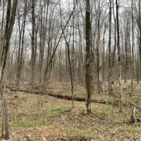 6.7 acres Bordering State Land Annsville NY images 6