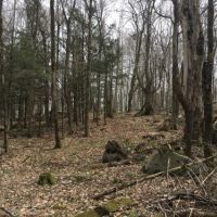 35 acres Country Home Pierrepont NY images 3