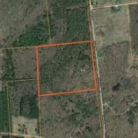 35 acres Country Home Pierrepont NY images 5