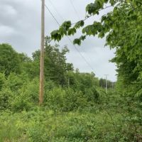 5 acres Bordering State Forest Redfield NY images 3