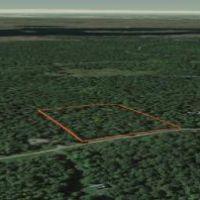 5 acres Bordering State Forest Redfield NY images 4