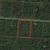 5 acres Bordering State Forest Redfield NY images 5