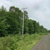 5 acres Bordering State Forest Redfield NY images 6