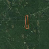 51 acres with Access to ATV Trails Montague images 6