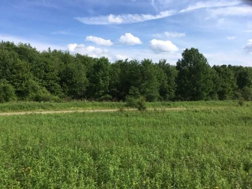 5 acres Camp Site with State Land Access featured image