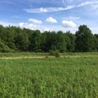 5 acres Camp Site with State Land Access