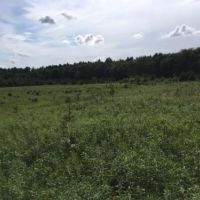 5 acres Camp Site with State Land Access images 2