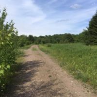 5 acres Camp Site with State Land Access images 6