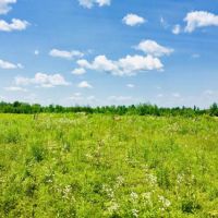 110 acres Hunting Land Lawrence NY
