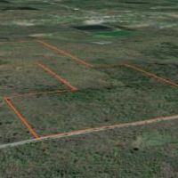 110 acres Hunting Land Lawrence NY images 4
