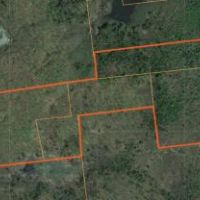 110 acres Hunting Land Lawrence NY images 5