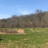 OWNER FINANCED 10 Acres with River Frontage images 5