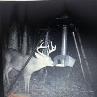 31 Acres and Camp Copiah Co. images 2